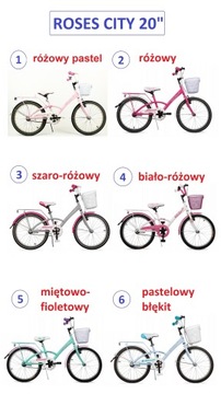 Польский велосипед для девочек 20 дюймов Roses Blue Pastel Польский производитель