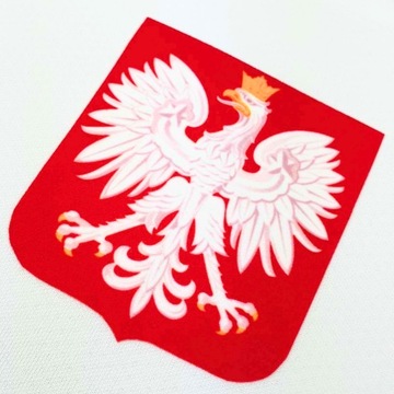 ФУТБОЛКА МУЖСКАЯ НАЦИОНАЛЬНАЯ NIKE ПОЛЬША M – 178см