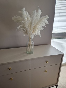 Пампасная трава, сушеная, декоративная, белая, маленькая, для вазы Dry Grasses