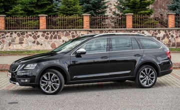 Skoda Octavia III Kombi Facelifting 2.0 TDI 184KM 2019 Skoda Octavia SCOUT 2.0Tdi 184Ps 4x4 Automat Ledy Navi Bixenon Alkantara E, zdjęcie 10