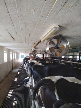 Циркуляционный вентилятор TK для коровников