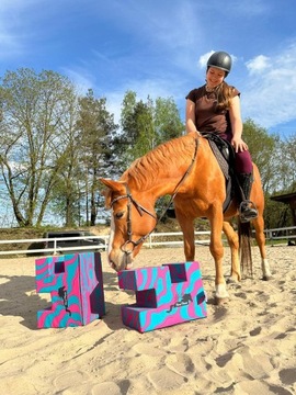 HorseMania- Cavaletti- piankowe podstawki ZESTAW