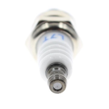 Комплект свечей зажигания с бензиновым фильтром для кусторезов.