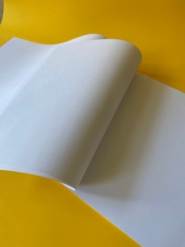 Brystol Papier Karton Techniczny BIAŁY 230g A2 43x61 100 kartek