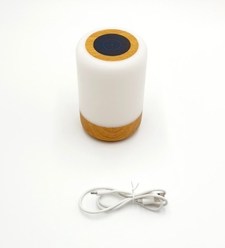 ГОРВИТОЛ МНОГОЦВЕТНАЯ СВЕТОДИОДНАЯ RGB СЕНСОРНАЯ ЛАМПА