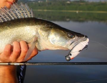 Savage Gear CANNIBAL SUPER KILLER 10 см Грязный Роуч