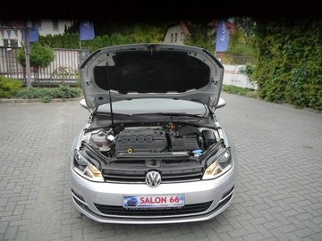 Volkswagen Golf VII Variant 1.6 TDI CR DPF BlueMotion Technology 105KM 2014 Volkswagen Golf 1.6tdi Stan Idealny Gwarancja 12m, zdjęcie 13