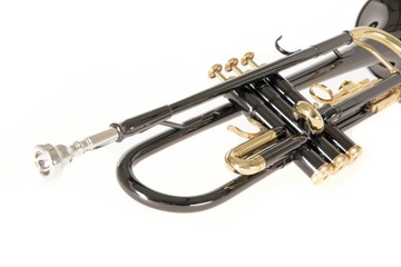 Труба в настройке Bb Roy Benson TR-101K