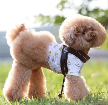 SZELKI dużego kota 38-48cm do 6kg TRE PONTI czarne MIĘKKIE oddychające