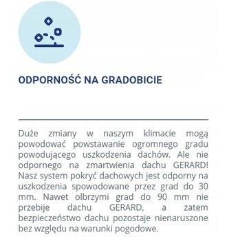 GERARD DIAMANT Поднос с посыпкой АКЦИЯ