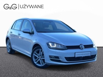 Volkswagen Golf VII Variant 1.6 TDI BlueMotion Technology 110KM 2014 Volkswagen Golf 1.6 Diesel 110KM, zdjęcie 6