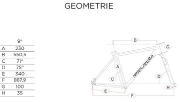 СОРЕВНОВАТЕЛЬНЫЙ ВЕЛОСИПЕД GALAXY EARLY BIRD BMX с РОТОРОМ