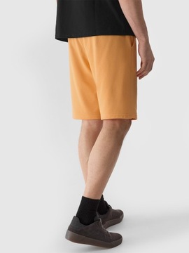 Короткие мужские шорты 4F Спортивные виды спорта