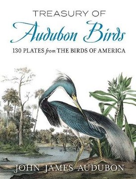 Treasury of Audubon Birds: 130 Plates from The Bir