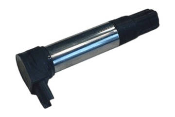 Cewka zapłonowa BERU ZS385 BMW BMW R1200 GS