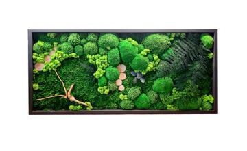 Изображение растений подушечного мха, стабилизированное 100/50