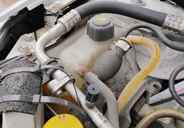 Renault Megane III Hatchback 1.5 dCi FAP 90KM 2011 Renault Megane 2011r, 1.5DCI VAN, Lekko uszkodzony tyl. Jezdzi. 1.5 90KM, zdjęcie 19