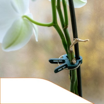 60 КЛИПС ДЛЯ ФИКСАЦИИ ВЬЮЩИХСЯ РАСТЕНИЙ ТОМАТОВ ДЛЯ САДА