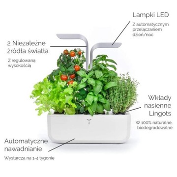 Настоящая Классика