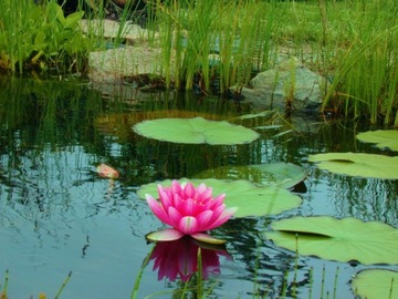 Бассейн Т26К Форма пруда 3200л 285х235х130