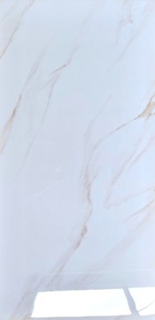 PŁYTKI PODŁOGOWE ŚCIENNE GRES POLER BIAŁY MARMUR ZŁOTA ŻYŁKA 60X120 GAT. 1