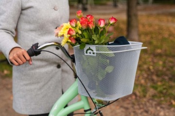 Велосипедная корзина VÖGEL VKS-102WH Сталь