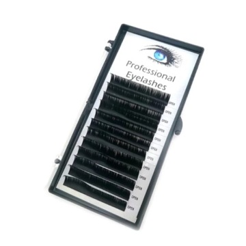 Rzęsy Professional Eyelashes kasetka 0,07C - 10mm