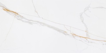 ПЛИТКА CORIENTO GOLD POLER GRS.376B.P 120X60 G1.