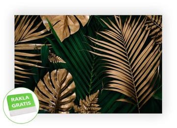 Fototapeta 3D na ścianę wymiar liście monstera