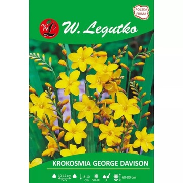Krokosmia George Davison żółta 5szt. Legutko