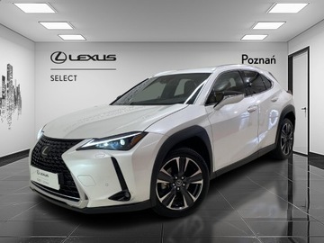 Lexus UX Crossover Facelifting 2.0 250h 184KM 2023 Lexus UX 250h GPF Business 2WD