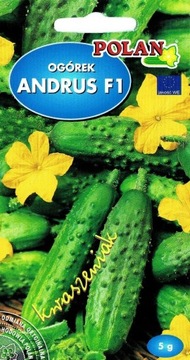 Ogórek gruntowy Andrus 5G Wczesny Odporny Nasiona