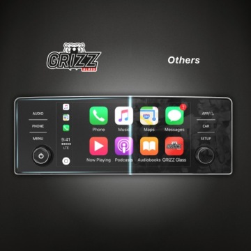 Пленка МАТОВАЯ на Skoda Octavia 4 8.25