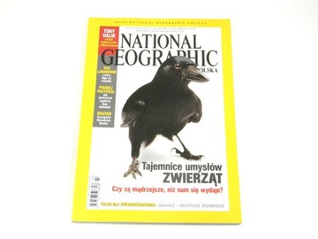 National Geographic Polska 3/2008 :: HALIK W MATO GROSSO, BHUTAN, ISLANDIA