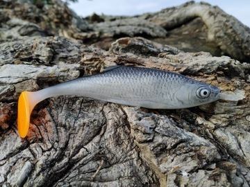 SEWRO CUSTOM UKLEJA czarna 10cm kopyto