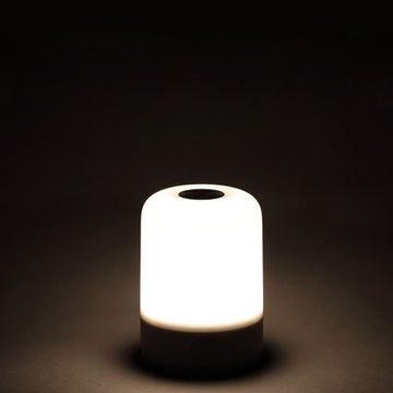 Походная лампа Nextool NE20016, 600лм, USB-C