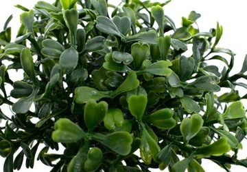 ИСКУССТВЕННЫЙ САМШИТ ВЕТКА ЧЕРНИКИ ПАСХАЛЬНАЯ 18 СМ