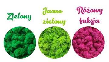 Дерево с мхом хроботек 40 НЕВЕСТА ПАРА спасибо свадебный мох хроботек