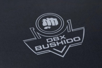 Мужская рубашка RASHGUARD для тренировок MMA KICKBOXING WALKING SPORTS Bushido XL