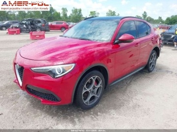 Alfa Romeo Stelvio SUV Facelifting 2.0 Turbo 280KM 2020 Alfa Romeo Stelvio 2020 Alfa Romeo Stelvio Sport AWD 2.0 Benzyna 280KM