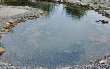 СОЛЛ АЛГОСОЛ 10 Л ОСЛАБЛЯЕТ МАССОВЫЙ РОСТ ВОДОРОСЛЕЙ