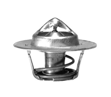 Termostat GATES TH00191G6