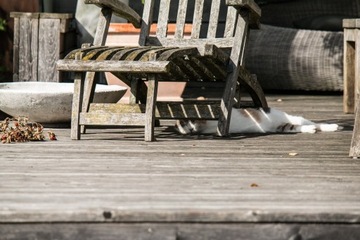 Remmers Средство для удаления водорослей, террасный мох, 2,5л