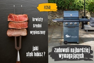 САХАРА ГАЗОВЫЙ ГРИЛЬ X350