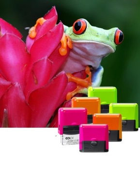 Маленький штамп COLOP C20 МЕДИЦИНСКАЯ МЕДСЕСТРА 4 строки + ДИЗАЙН и ЛАСТИК