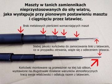 Odstraszacz Ptaków Latawiec CH1 z masztem 4 metry