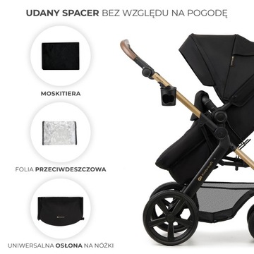 3IN1 MOOV 2 Многофункциональная коляска с черным сиденьем Mink Pro
