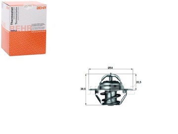 BEHR TERMOSTAT 105000106401 105000106400 4062141 4