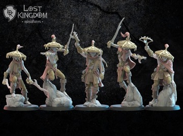 Dark Elves - Akkorokamui, Corsairs x5 - Druk 3D