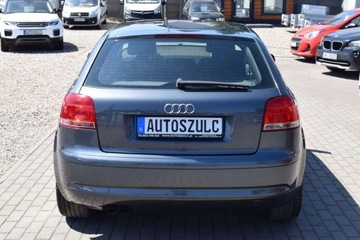 Audi A3 8P Hatchback 3d 1.9 TDI 105KM 2005 Audi A3 1.9 TDI, 3-drzwi, Sprowadzony, Ekonomi..., zdjęcie 7